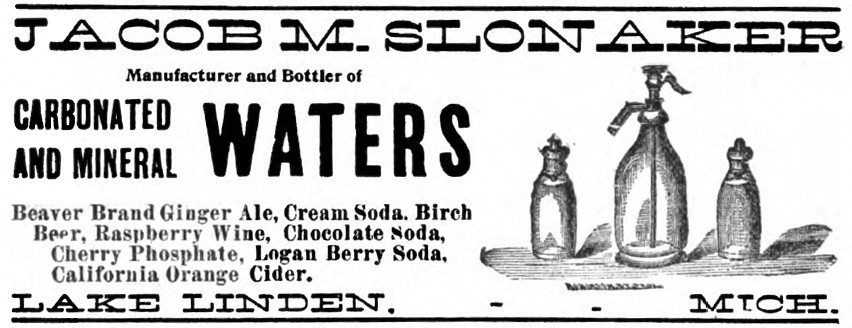 Polk directory ad - <i>Michigan State Gazetteer and Business Directory for 1897</i>